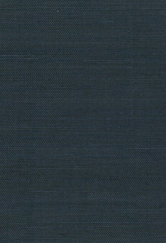 Seabrook Designs Natural Resource Sisal Grasscloth Contemporary Blue Matte Sidewall - NA210