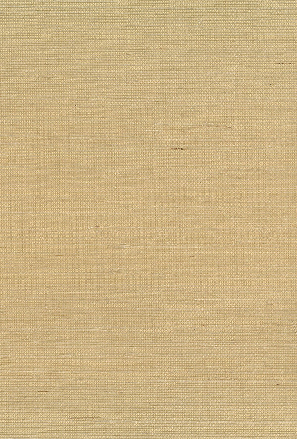 Seabrook Designs Natural Resource Sisal Grasscloth Contemporary Brown Matte Sidewall - NA211