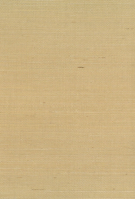 Seabrook Designs Natural Resource Sisal Grasscloth Contemporary Brown Matte Sidewall - NA211