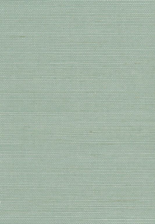 Seabrook Designs Natural Resource Sisal Grasscloth Contemporary Blue Matte Sidewall - NA213