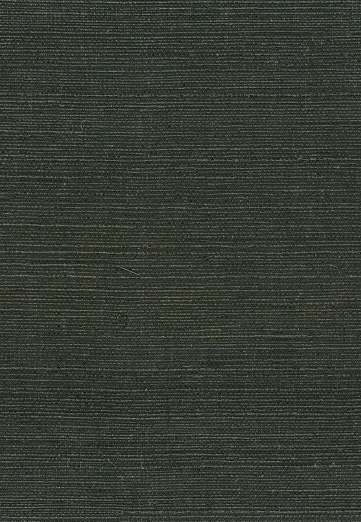 Seabrook Designs Natural Resource Sisal Grasscloth Contemporary Black Matte Sidewall - NA214