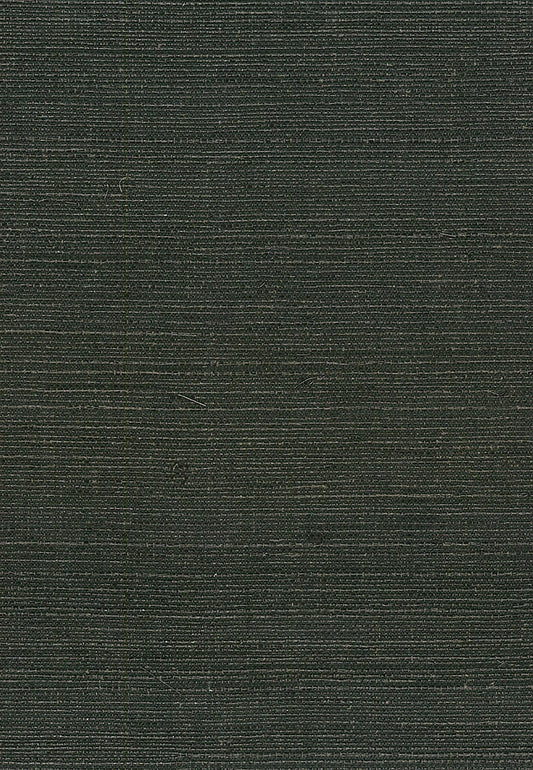 Seabrook Designs Natural Resource Sisal Grasscloth Contemporary Black Matte Sidewall - NA214