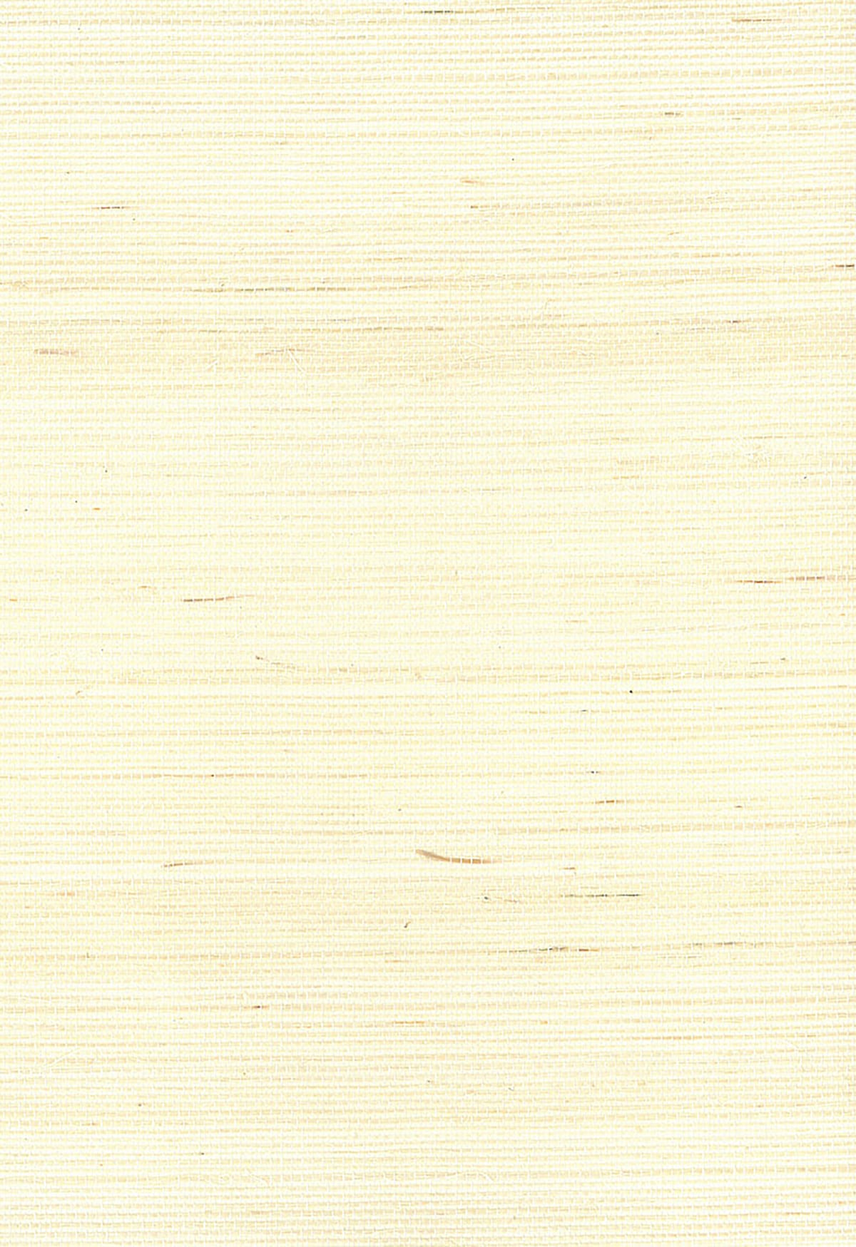 Seabrook Designs Natural Resource Sisal Grasscloth Contemporary Off-White Matte Sidewall - NA218