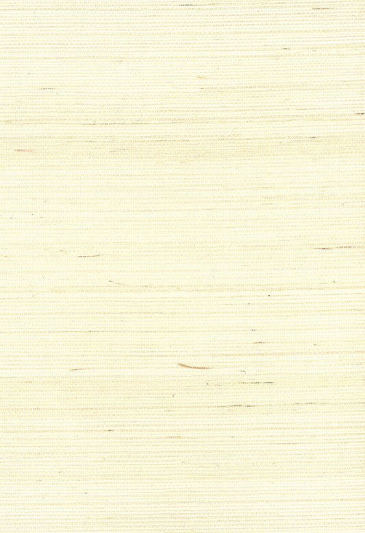 Seabrook Designs Natural Resource Sisal Grasscloth Contemporary Off-White Matte Sidewall - NA218