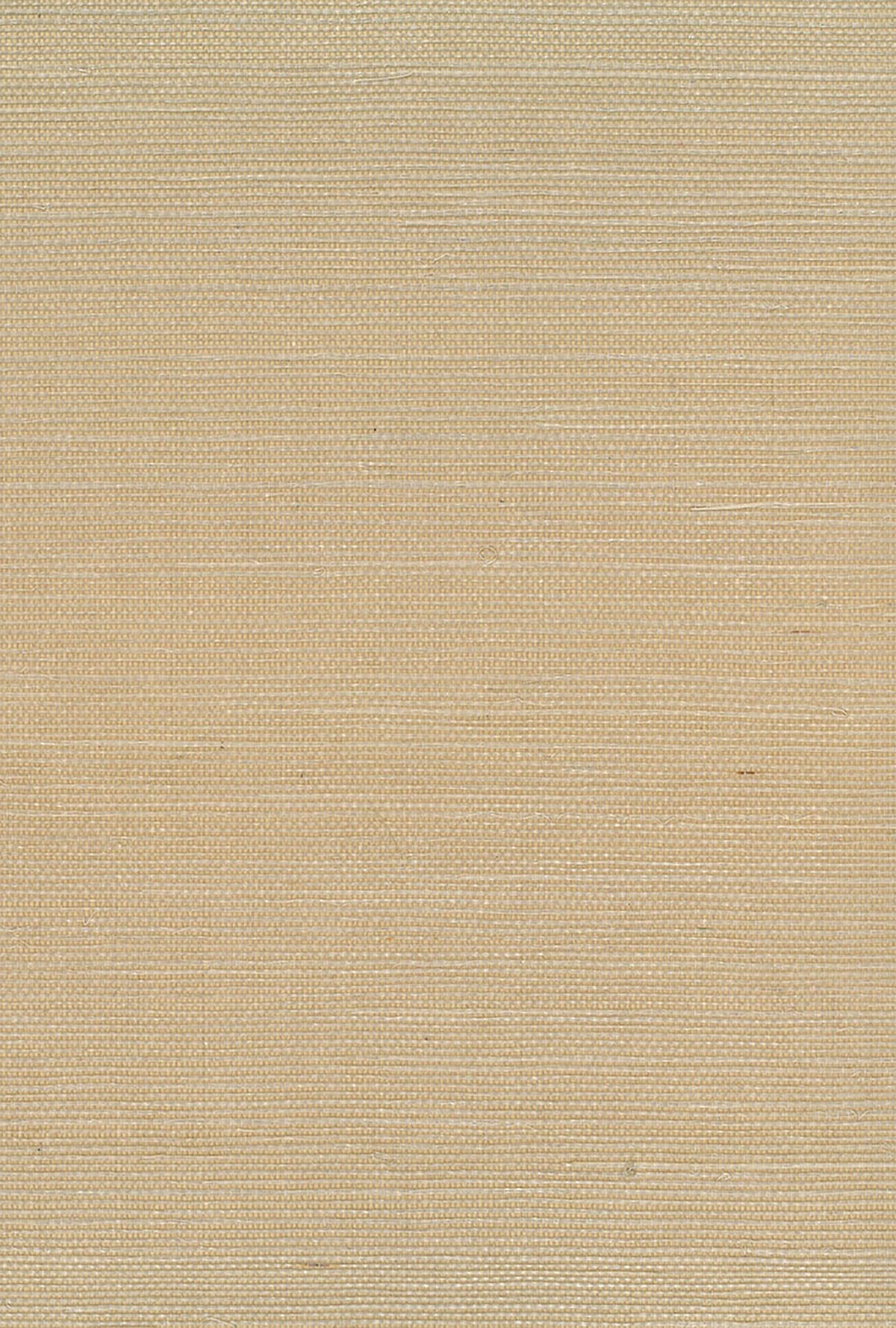 Seabrook Designs Natural Resource Sisal Grasscloth Contemporary Beige Matte Sidewall - NA219