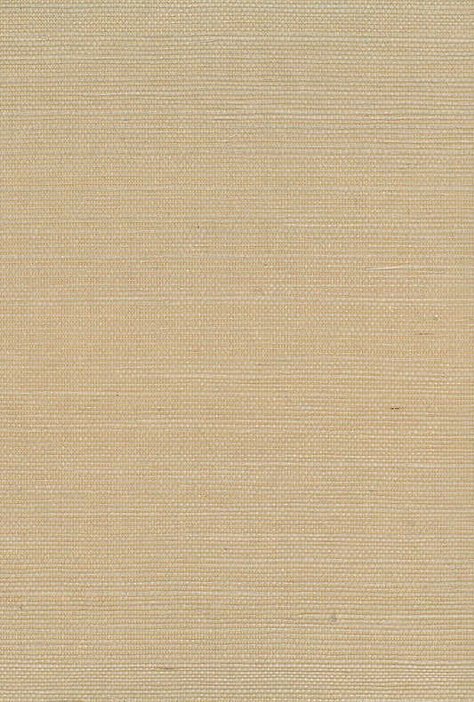 Seabrook Designs Natural Resource Sisal Grasscloth Contemporary Beige Matte Sidewall - NA219