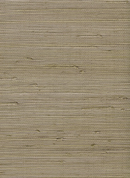 Seabrook Designs Natural Resource Jute Grasscloth Contemporary Tan Matte Sidewall - NA302