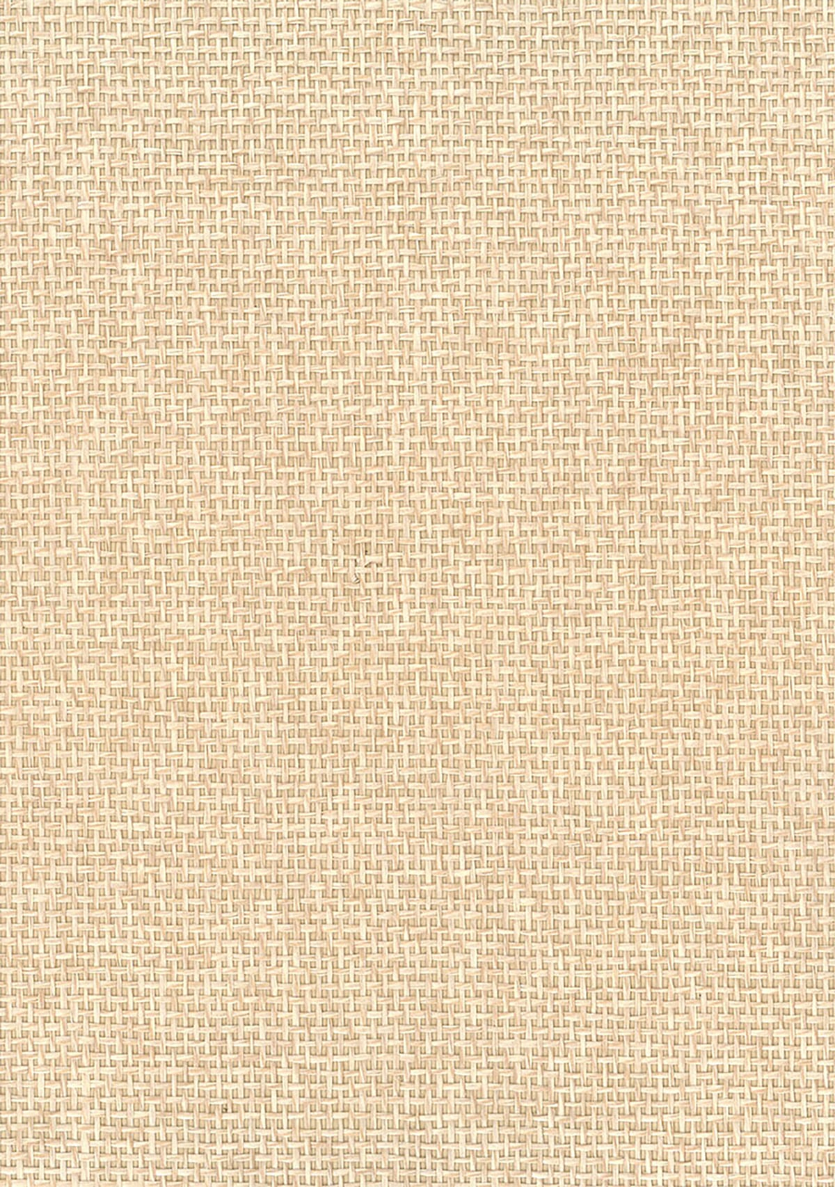 Seabrook Designs Natural Resource Paperweave Grasscloth Contemporary Beige Matte Sidewall - NA506