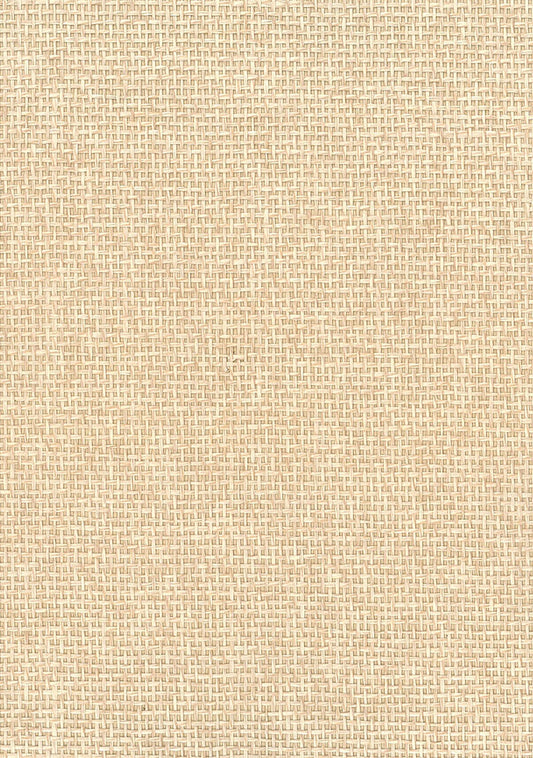 Seabrook Designs Natural Resource Paperweave Grasscloth Contemporary Beige Matte Sidewall - NA506