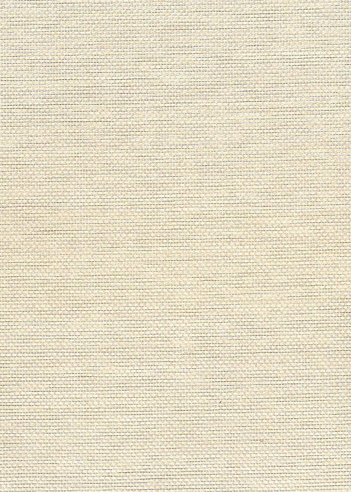 Seabrook Designs Natural Resource Paperweave Grasscloth Contemporary Silver Metallic Sidewall - NA509