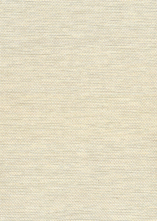 Seabrook Designs Natural Resource Paperweave Grasscloth Contemporary Silver Metallic Sidewall - NA509