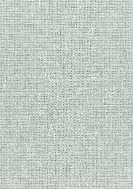 Seabrook Designs Natural Resource Paperweave Grasscloth Contemporary Green Matte Sidewall - NA513