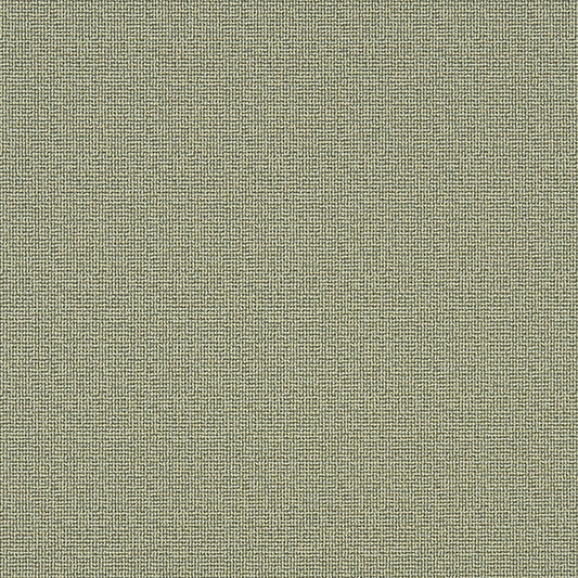JF Fabrics Crypton NAPANEE 74 Fabric Traditional,Transitional,Contemporary,Plain Green  Texture - 5774874 J7031