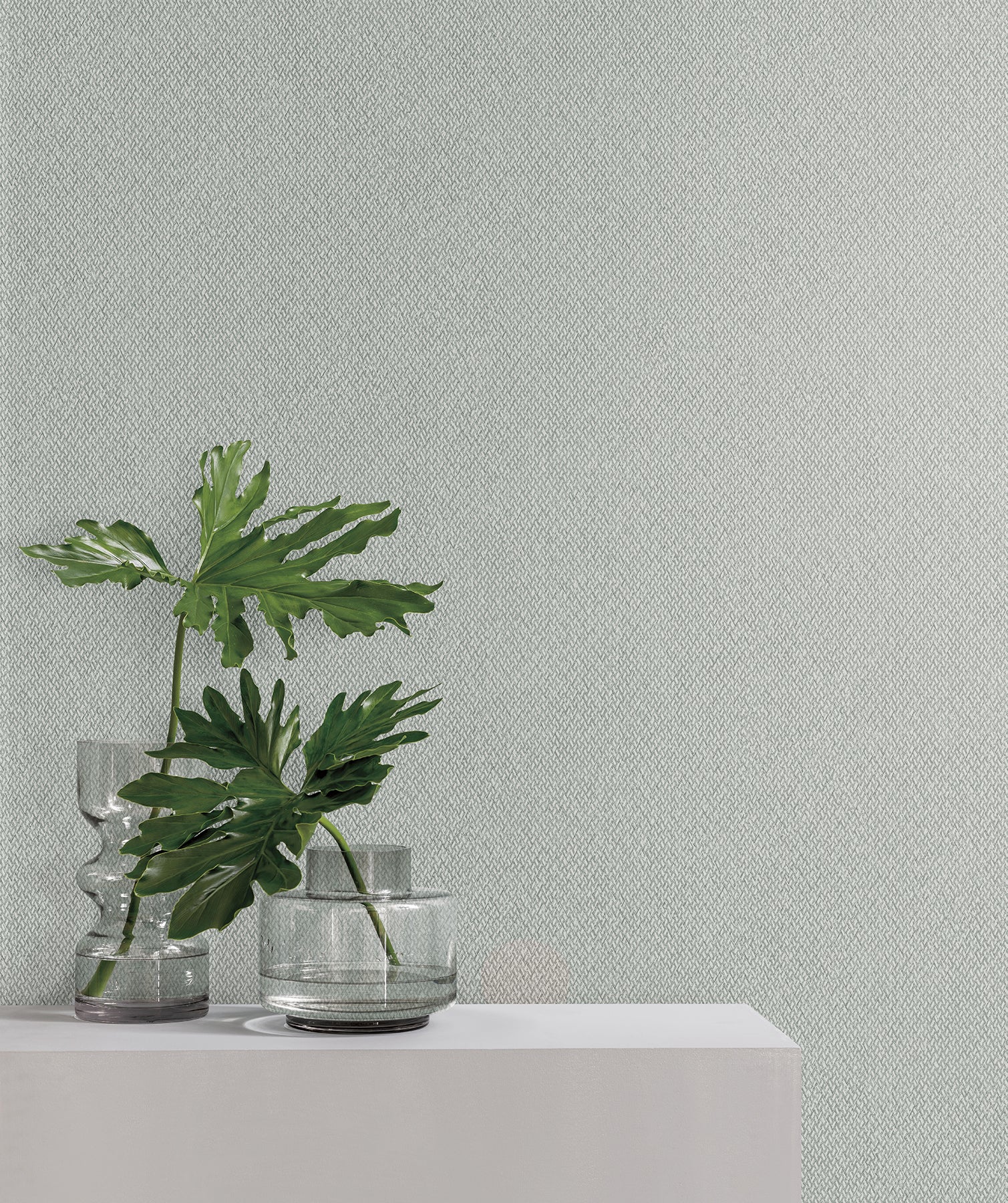 Light gray textured wallpaper backdrop with clear glass vases holding large monstera leaves on a white surface.