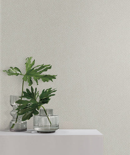 York Wallcoverings York Wallcoverings Give and Take Beige and Brown Wallpaper  Textures Beiges   - ND3024N