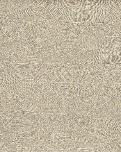 York Wallcoverings Natural Digest On Deck Beige Wallpaper  Brick, Wood and Stone Beiges   - ND3062N