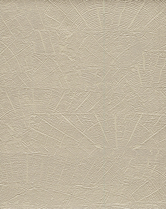 York Wallcoverings Natural Digest On Deck Beige Wallpaper  Brick, Wood and Stone Beiges   - ND3062N