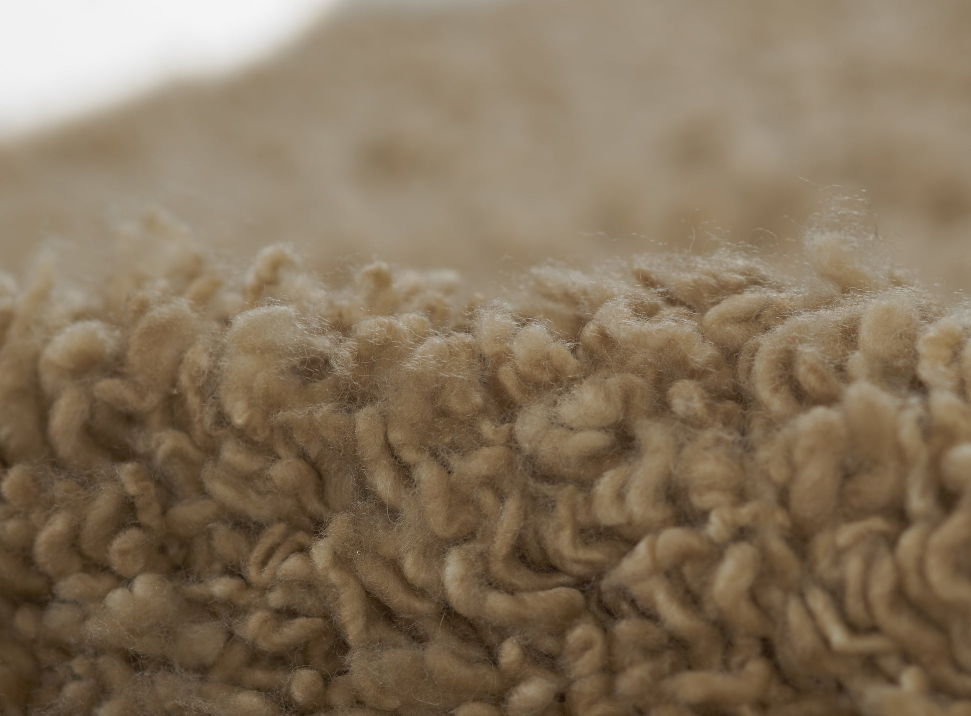 Beige shag rug close-up with thick curly pile, plush natural wool-like texture.