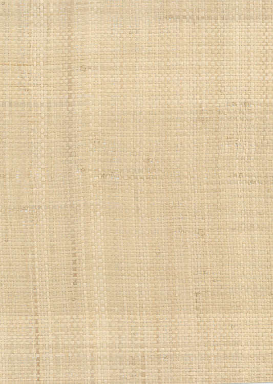 NICHOLASJOHN INC. Natural - Textured Wallcoverings Raffia      - NJ25NG5001