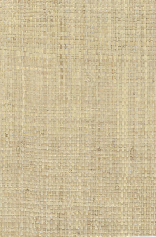 NICHOLASJOHN INC. Natural - Textured Wallcoverings Raffia      - NJ25NG5014