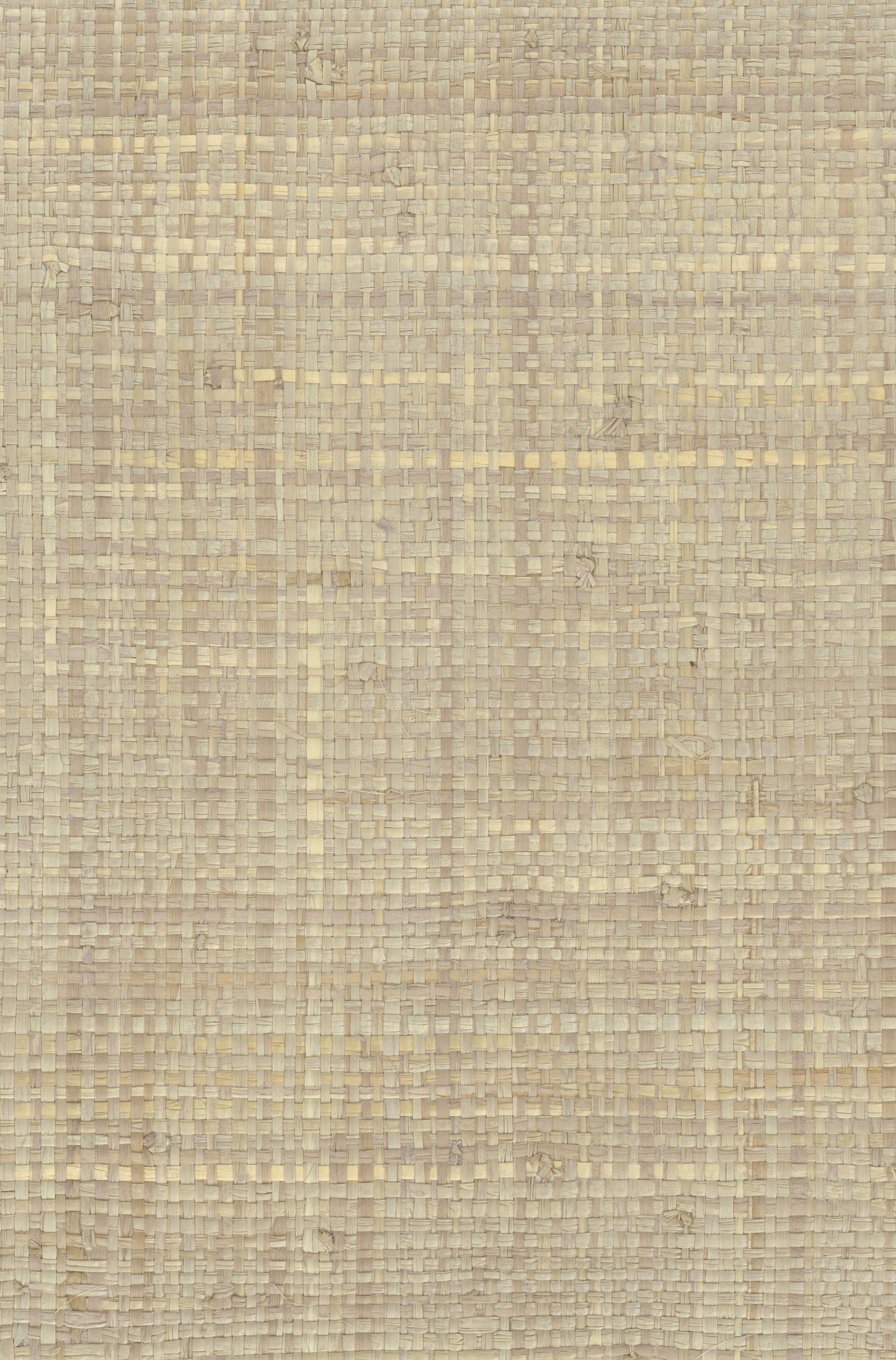 NICHOLASJOHN INC. Natural - Textured Wallcoverings Raffia      - NJ25NG5015