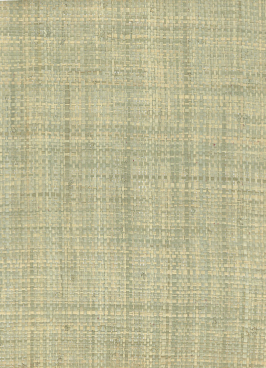 NICHOLASJOHN INC. Natural - Textured Wallcoverings Raffia      - NJ25NG5019