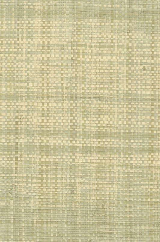 NICHOLASJOHN INC. Natural - Textured Wallcoverings Raffia      - NJ25NG5020