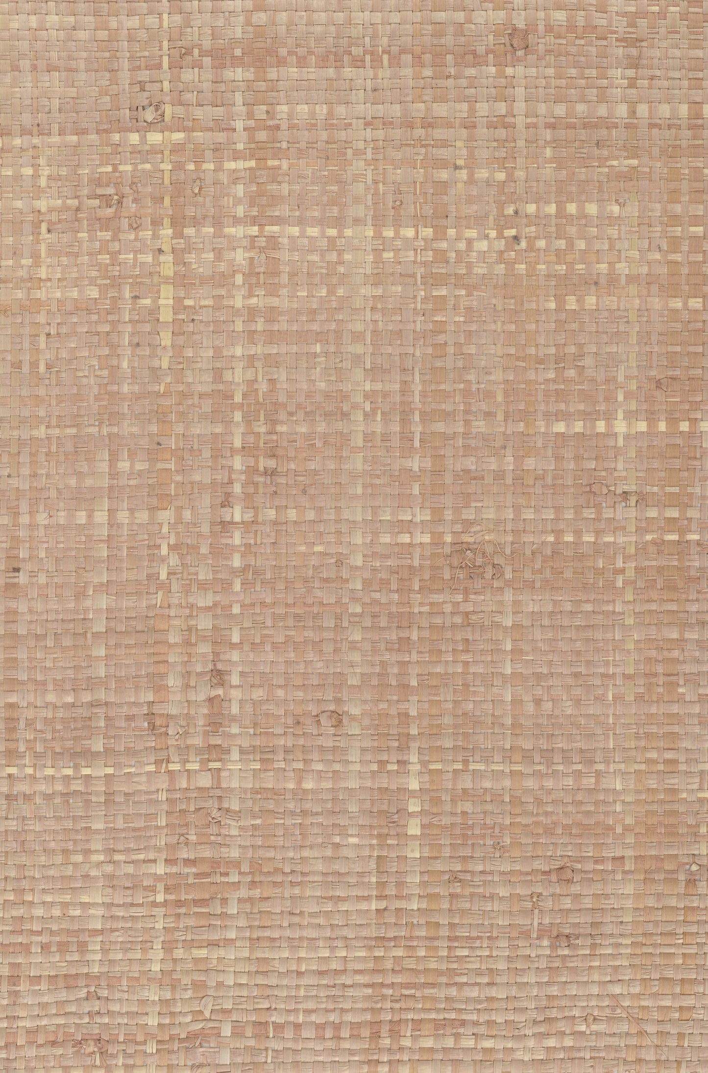 NICHOLASJOHN INC. Natural - Textured Wallcoverings Raffia      - NJ25NG5023