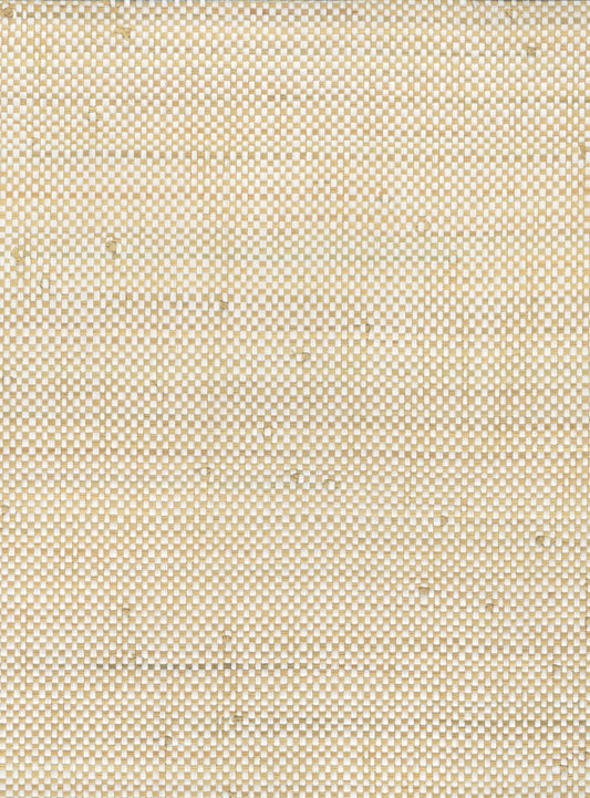 NICHOLASJOHN INC. Natural - Textured Wallcoverings RAFFIA      - NJ25NG5081