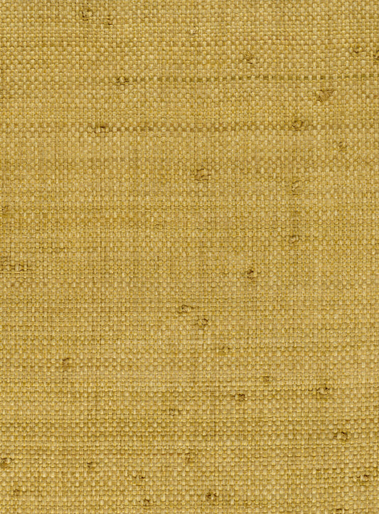 NICHOLASJOHN INC. Natural - Textured Wallcoverings RAFFIA      - NJ25NG5084