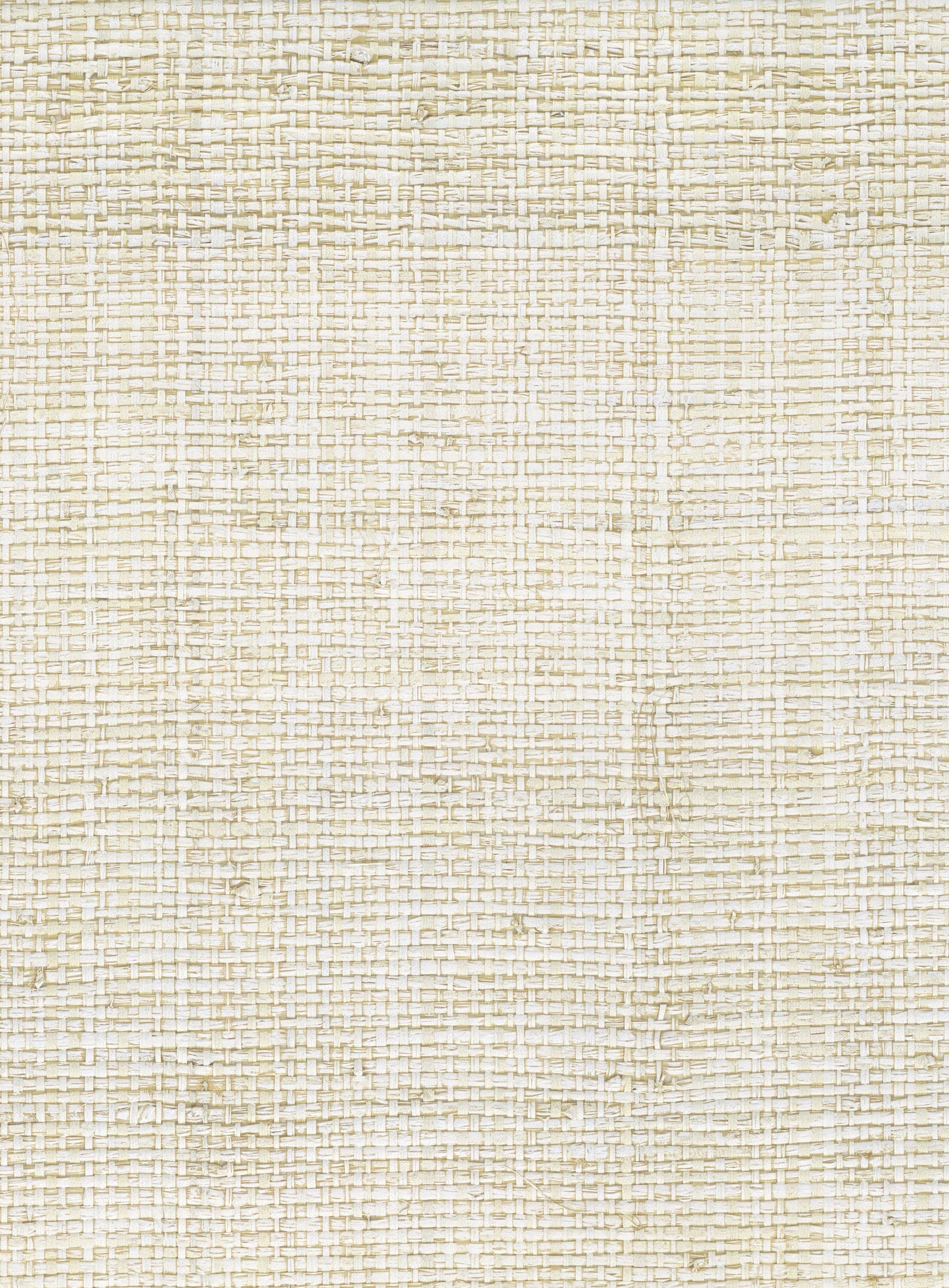 NICHOLASJOHN INC. Natural - Textured Wallcoverings RAFFIA      - NJ25NG5086