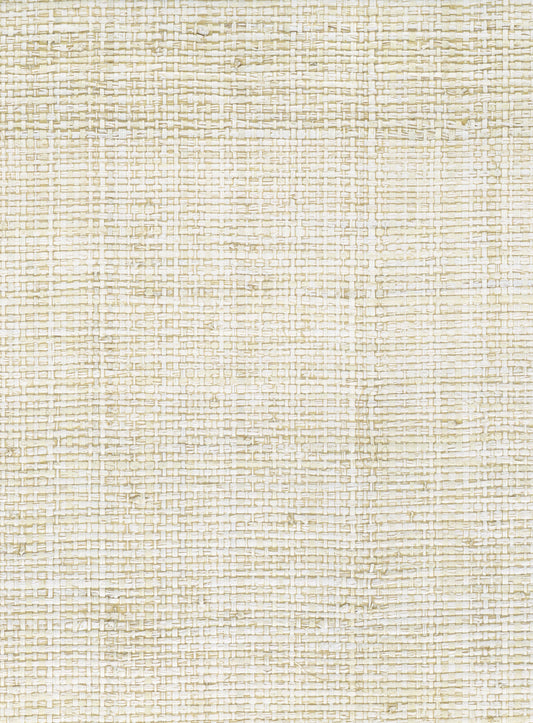 NICHOLASJOHN INC. Natural - Textured Wallcoverings RAFFIA      - NJ25NG5086