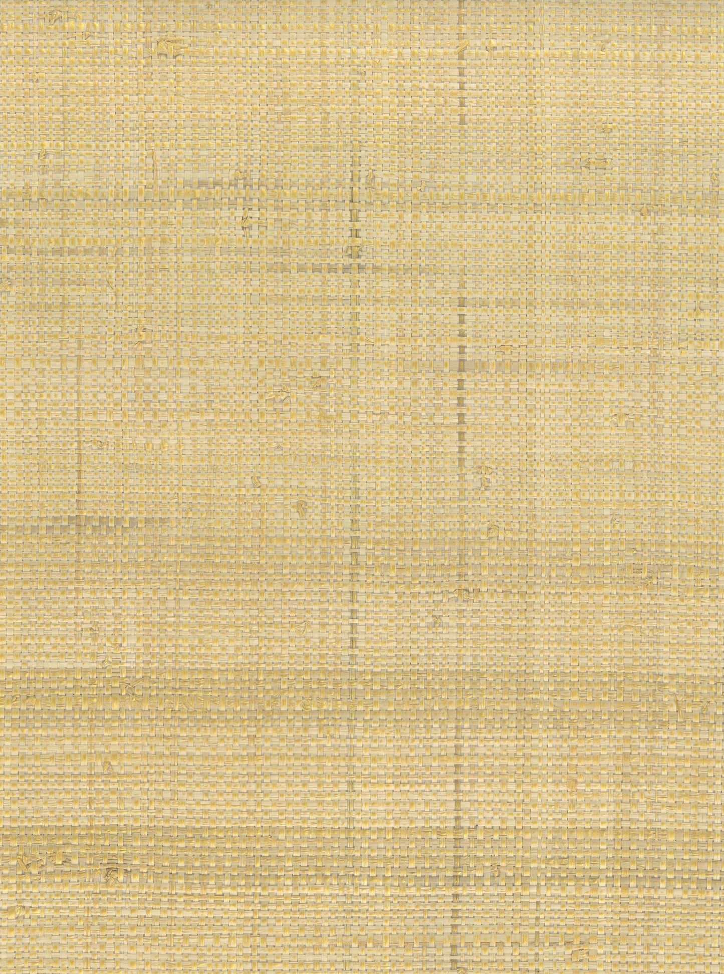NICHOLASJOHN INC. Natural - Textured Wallcoverings RAFFIA      - NJ25NG5087