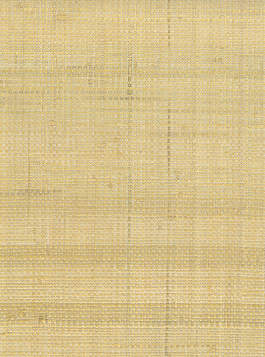NICHOLASJOHN INC. Natural - Textured Wallcoverings RAFFIA      - NJ25NG5087