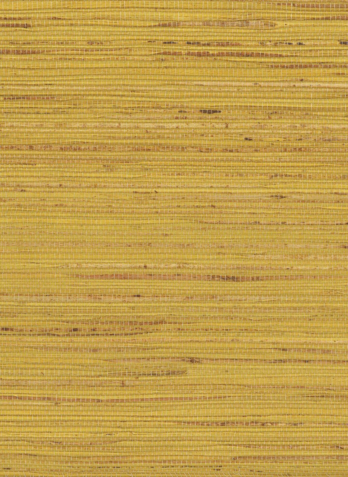 NICHOLASJOHN INC. Natural - Textured Wallcoverings HEMP      - NJ25NH1056