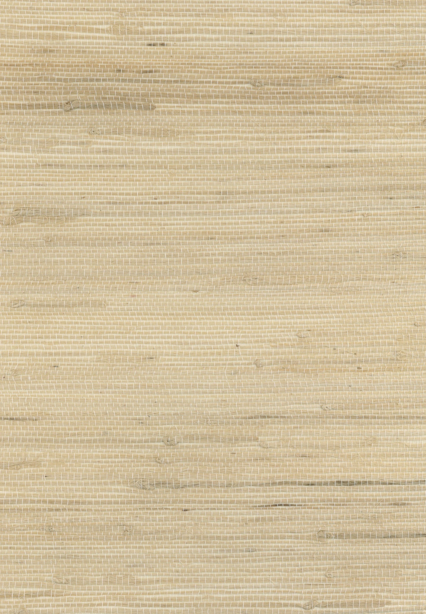 NICHOLASJOHN INC. Natural - Textured Wallcoverings JUTE      - NJ25NH2041