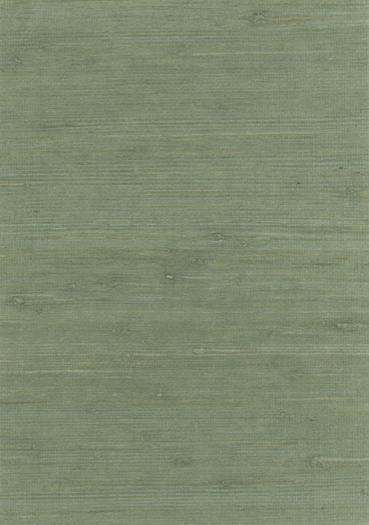 NICHOLASJOHN INC. Natural - Textured Wallcoverings JUTE      - NJ25NH2122