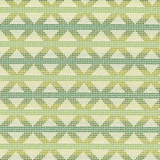 NICHOLASJOHN INC NJ-TRIXIE Grasshopper Geometric,Contemporary   Fabric - NJ25-2408