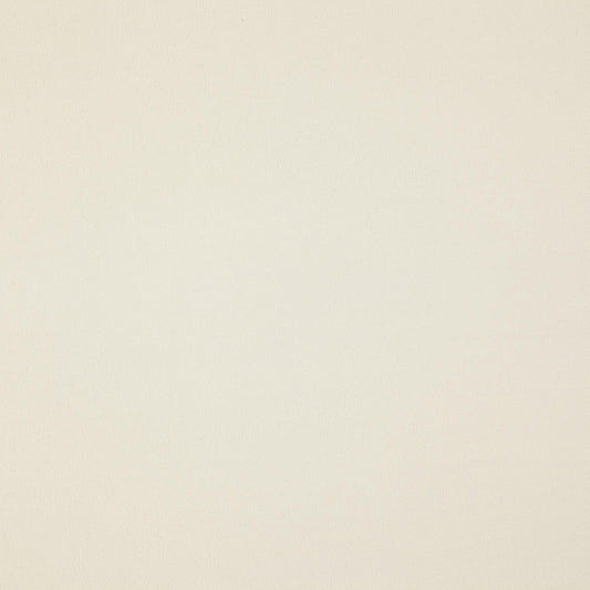 JF Fabrics everyday NORTH 91 Fabric Traditional,Transitional,Contemporary,Plain Creme/Beige  Texture - 6006591 J7881