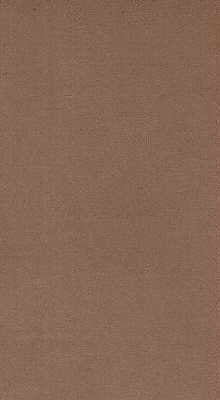 KRAVET DESIGN VINYL/FAUX LEATHER TEXTURE RUST,BEIGE,   - NOVASUEDE.1216.0