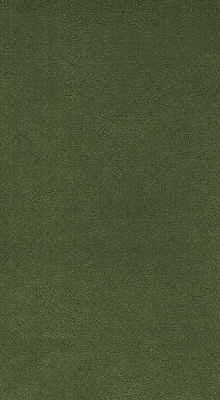 KRAVET DESIGN VINYL/FAUX LEATHER TEXTURE GREEN,GREEN,   - NOVASUEDE.3030.0