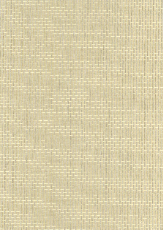 NICHOLASJOHN INC. Natural - Textured Wallcoverings PAPER WEAVE      - NJ25NP027