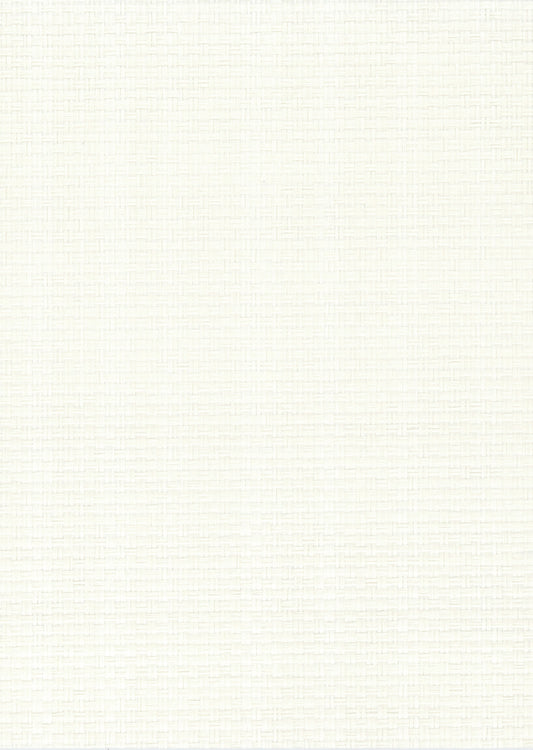 NICHOLASJOHN INC. Natural - Textured Wallcoverings PAPER WEAVE      - NJ25NP1001