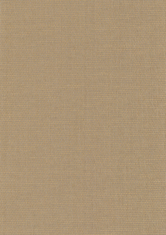 NICHOLASJOHN INC. Natural - Textured Wallcoverings PAPER WEAVE      - NJ25NP6004