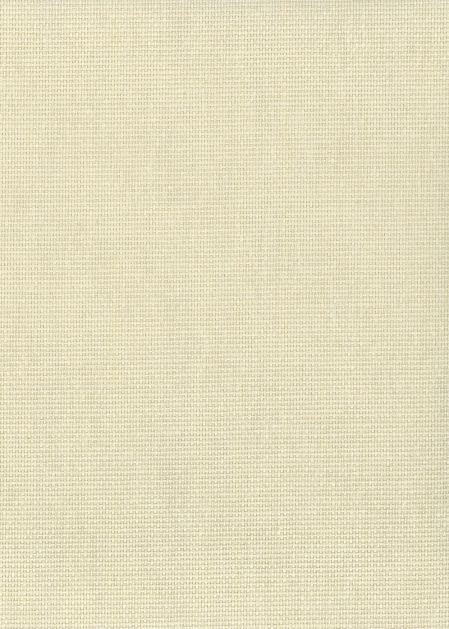 NICHOLASJOHN INC. Natural - Textured Wallcoverings PAPER WEAVE      - NJ25NP6007
