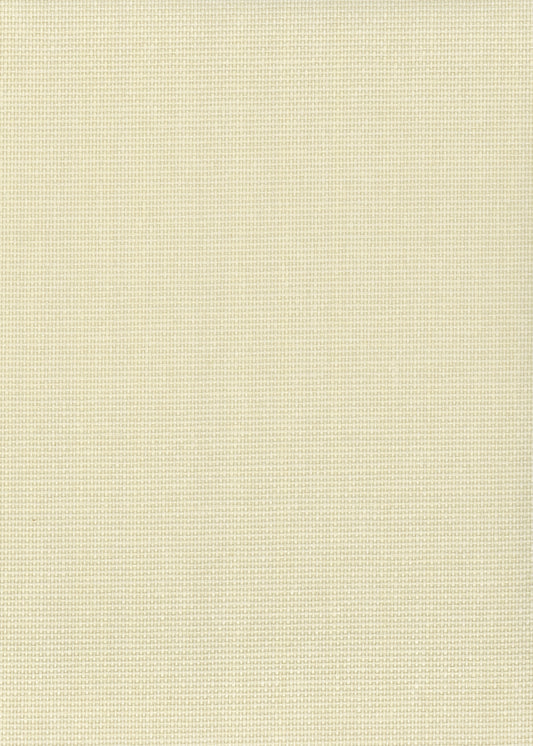 NICHOLASJOHN INC. Natural - Textured Wallcoverings PAPER WEAVE      - NJ25NP6007