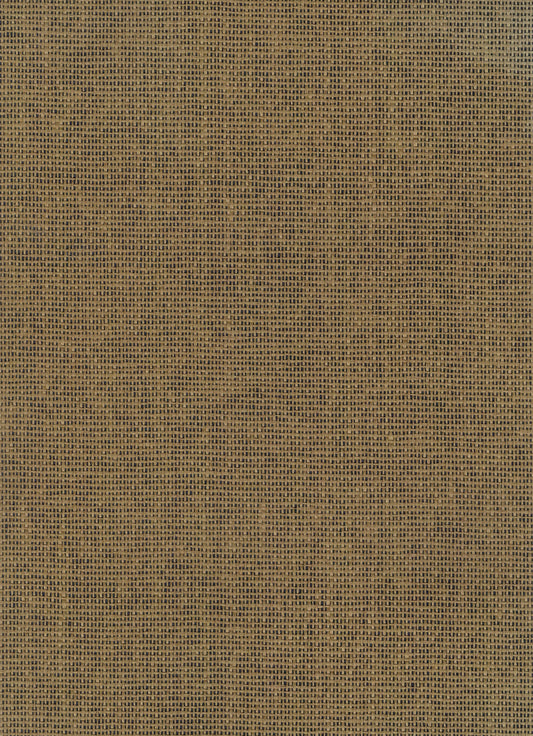 NICHOLASJOHN INC. Natural - Textured Wallcoverings PAPER WEAVE      - NJ25NP6019