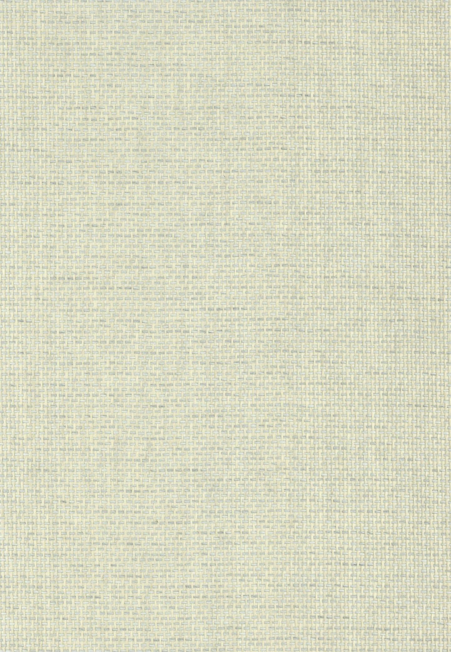NICHOLASJOHN INC. Natural - Textured Wallcoverings PAPER WEAVE      - NJ25NP6028