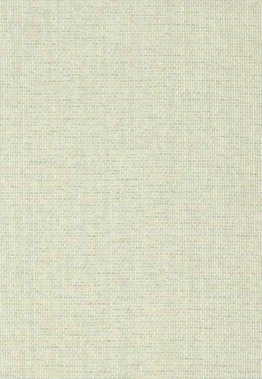 NICHOLASJOHN INC. Natural - Textured Wallcoverings PAPER WEAVE      - NJ25NP6028