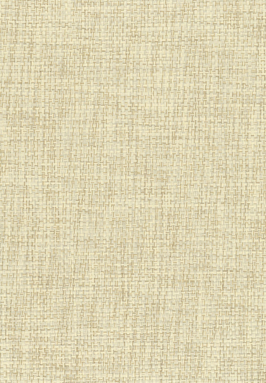 NICHOLASJOHN INC. Natural - Textured Wallcoverings PAPER WEAVE      - NJ25NP6058